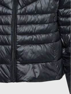 Εκπτωση ⭐ Vero Moda Curve Γυναίκες Πουπουλένια Μπουφάν Μπουφάν πουπουλένιο Soraya 10276479 Μαύρο Regular Fit 👏 5 Εκπτωση ⭐ Vero Moda Curve Γυναίκες Πουπουλένια Μπουφάν Μπουφάν πουπουλένιο Soraya 10276479 Μαύρο Regular Fit 👏 -Εκπτώσεις μαγιό Calvin Klein unnamed file 1040